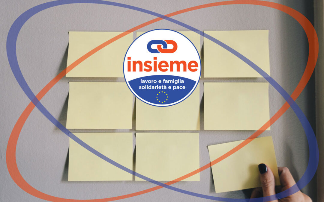 Adunanza plenaria di Insieme: mozioni di programma