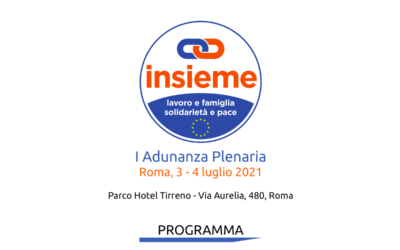 Adunanza plenaria di Insieme: il programma 3-4 luglio 2021