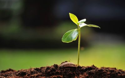 La “Giornata della Vita” di domenica 6 febbraio. Un contributo di INSIEME.